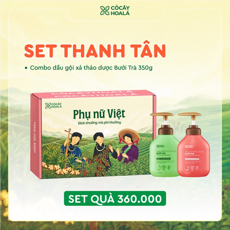 Set Thanh Tân
